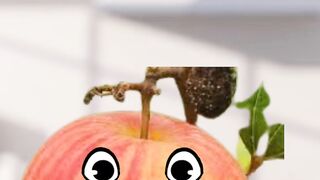 Ber short funny video