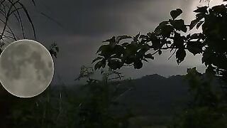 The moon 2