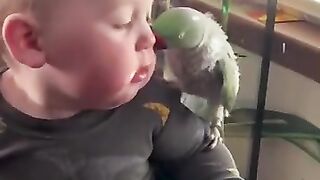 Parrot & baby https://youtube.com/@MagiccatsFunny127