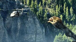 Giant Wolf Attack Scene - Wolf vs Helicopter - Rampage  Movie Clip HD. Video 2023