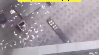 Валютный дожд