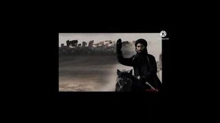 Inspiring and Timeless Quotes from Sultan Salahuddin Ayyubi in English | quotes | markhor