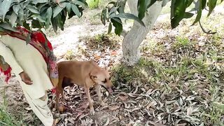 boy playing with his dogi on my channel Animals Vs Birds.