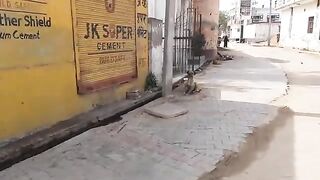 Funny video 153