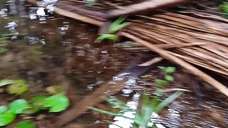 Natureza 3