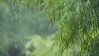 beautiful rain 2