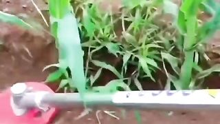 ЗА УСПЕШНА ГРАДИНА 5