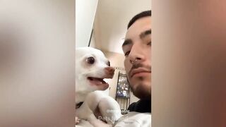 Funniest Dog Videos ???????? - Funniest Animals 2023 | Pets Island