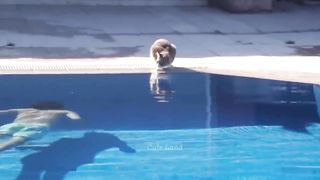 Funniest Animals 2023 ???? Best Funny Cats and Dogs