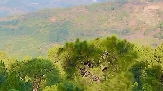 #nature 2
