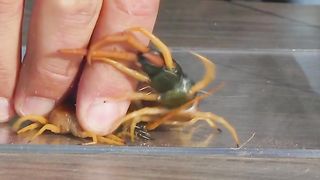 You Know What They Say