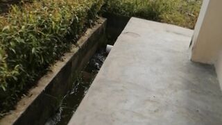 Perjalanan menuju pabrik kelapa sawit