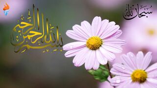 Relaxing Piano Music with #beautiful Flower Picture Name Urdu and English