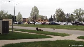 COMPILATION Funniest Animals/Dogs and Cats Videos/ videos divertidos de animales #21