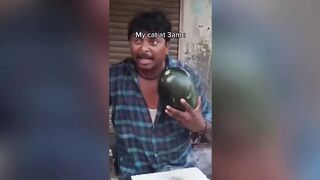 Try Not To Laugh : Funny Animal Videos Compilation | Funny Cats, Cute Dogs | 2023 #7