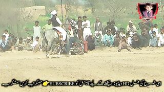 horseriding,horses,riding,#horse,wild horses,29#jhamra#darbar#kaly#shah