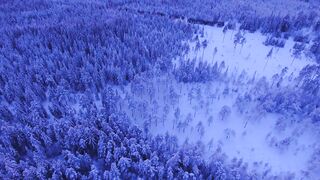 Beautiful Relaxing Music for Stress Relief • Meditation Music, Sleep Music, Study Music 2