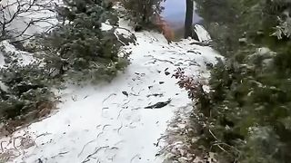 БЪЛГАРИЯ