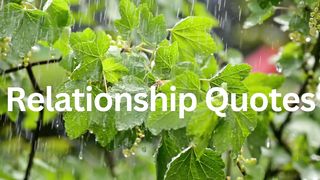Relationship Quotes