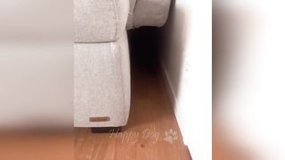 Funniest Animals ???? - Best Of The 2023 Funny Animal Videos ???? - Cutest Animals Ever