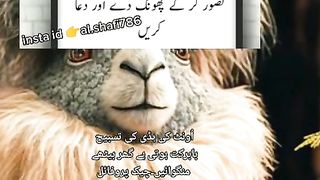 Sabiz