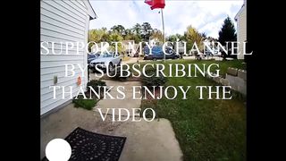 Laugh till you cry, dog chasing delivery man compilation.