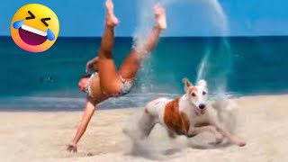 Funny Animal Videos 2023 ???? - Funny Cat & Dog Vines Compilation 2022 ????????