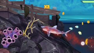 Hungry Shark evolution| hungry Shark | hungry shark world gameplay