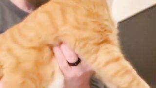 Funny vidéo 2