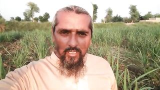 Ploughing Inside Sugarcane Field ll IFI Vlogs ll Crop Reformer ll IFTIKHAR AHMED SARGANA