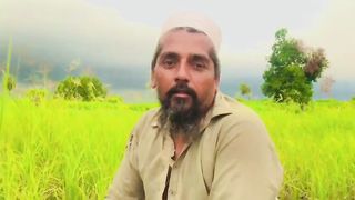 Beautiful Scenery Of Villages ll IFI Vlogs ll IFTIKHAR AHMED SARGANA