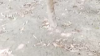 A new form of nature.  Feel the sound of birds
