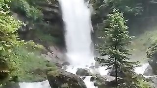 Beauty of the Nature