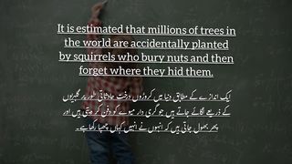 Writing facts