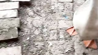 animal 40