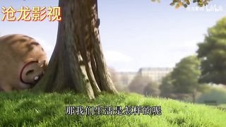 animal 41