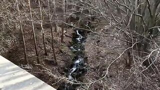 БЪЛГАРИЯ 2