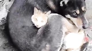 ЕДНА НЕВЪЗМОЖНА ДРУЖБА