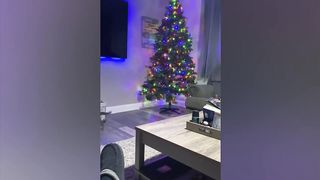 Funny animals 22