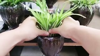 УСПЕШНА ГРАДИНА 3