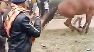 FUNERAL OR MARRIAGE