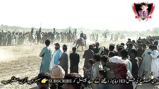 horseriding,horses,riding,#horse,wild horses,30#jhamra#darbar#kaly#shah