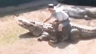 Funny video 162