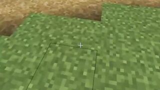 Millionaire Villager tries to scam me