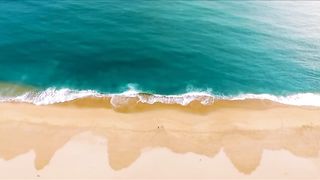 a trip to the ocean