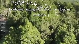 Islamic 55