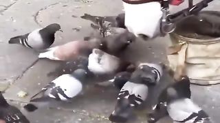 Food Sharing