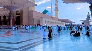 Shan a Madina