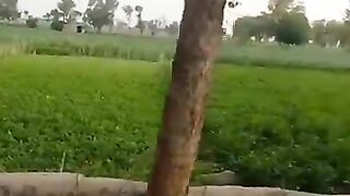 My Village. 2