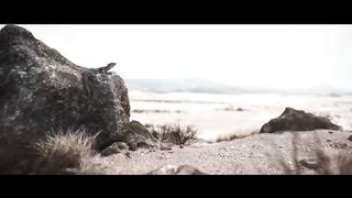 Jarico - U (Music Video)